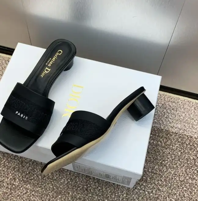 hype Christian Dior Slippers