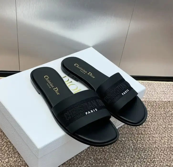 hype Christian Dior Slippers