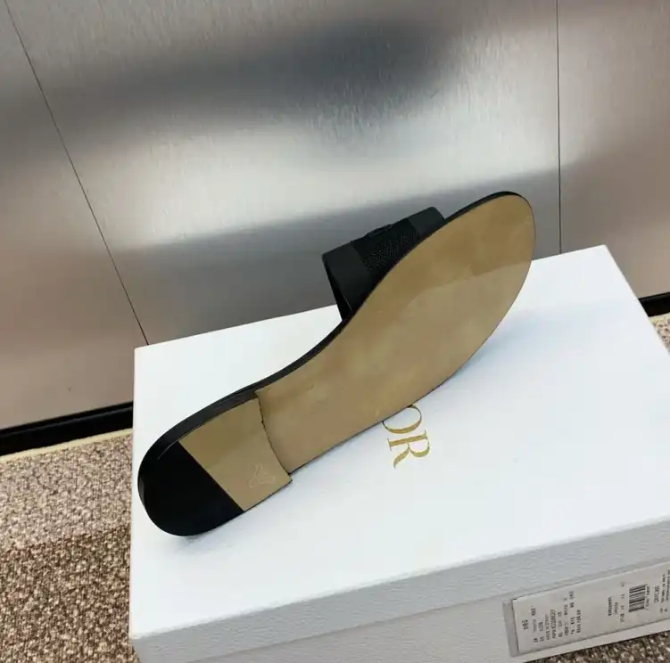 hype Christian Dior Slippers