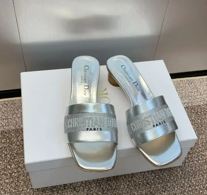 hype Christian Dior Slippers