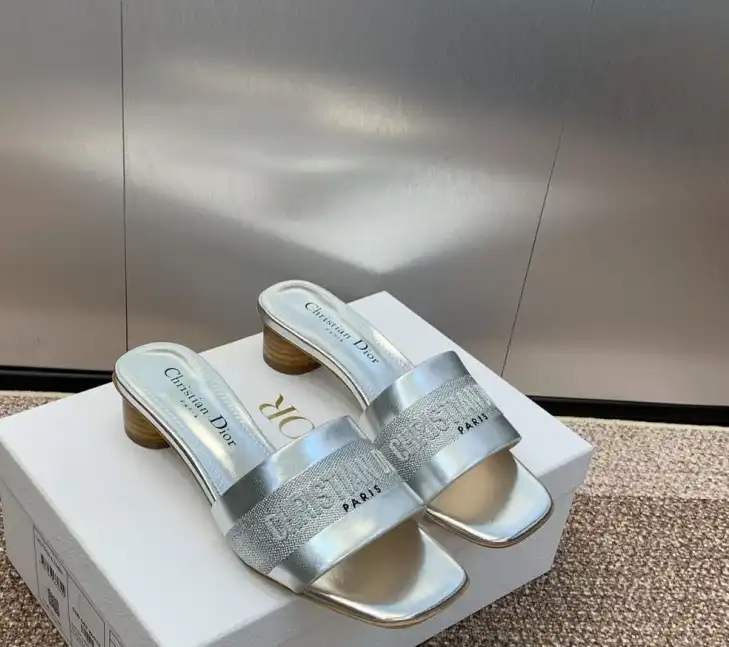 hype Christian Dior Slippers