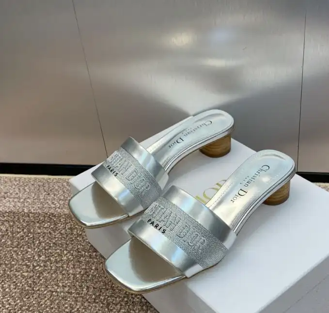 hype Christian Dior Slippers