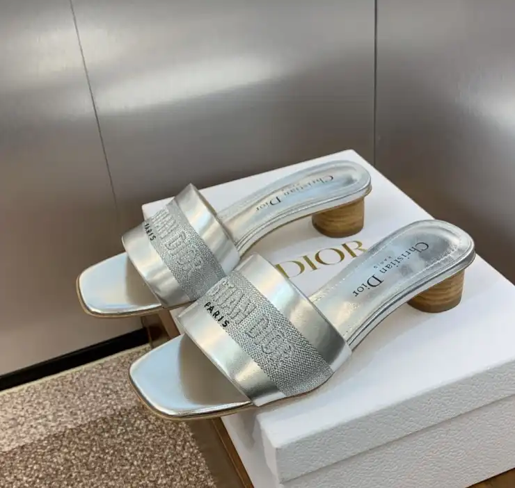 hype Christian Dior Slippers