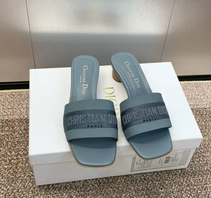 hype Christian Dior Slippers