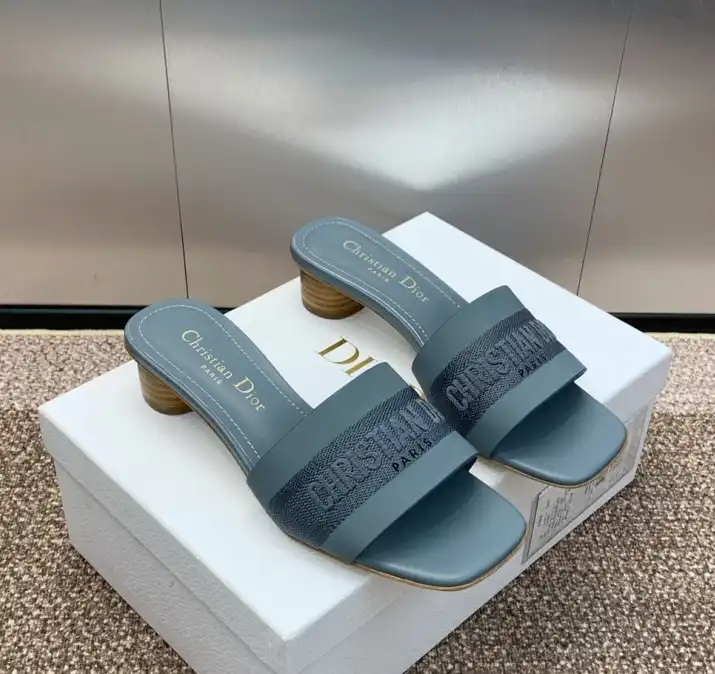 hype Christian Dior Slippers