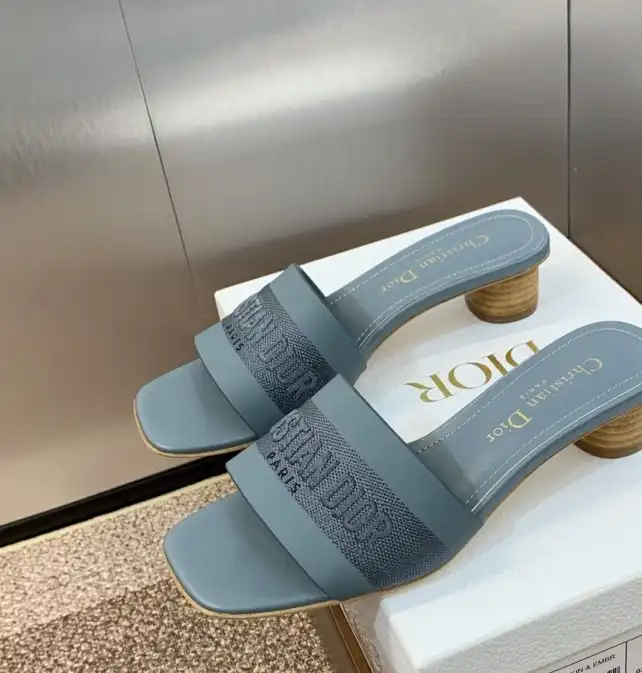 hype Christian Dior Slippers