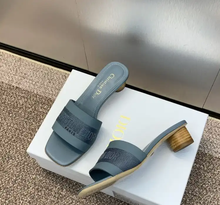 hype Christian Dior Slippers