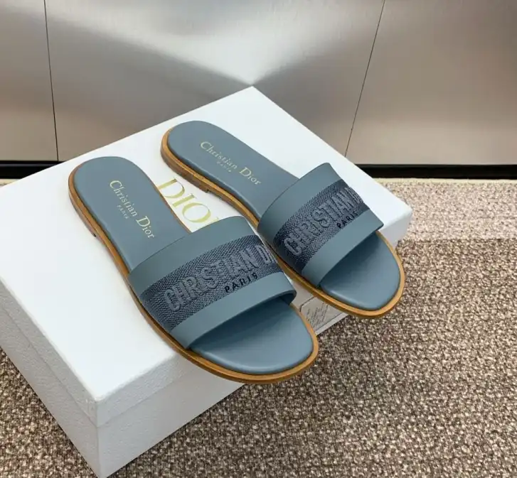 hype Christian Dior Slippers