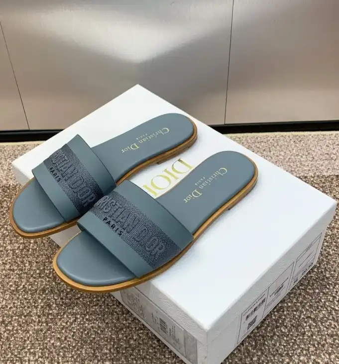 hype Christian Dior Slippers