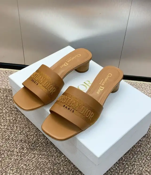 hype Christian Dior Slippers