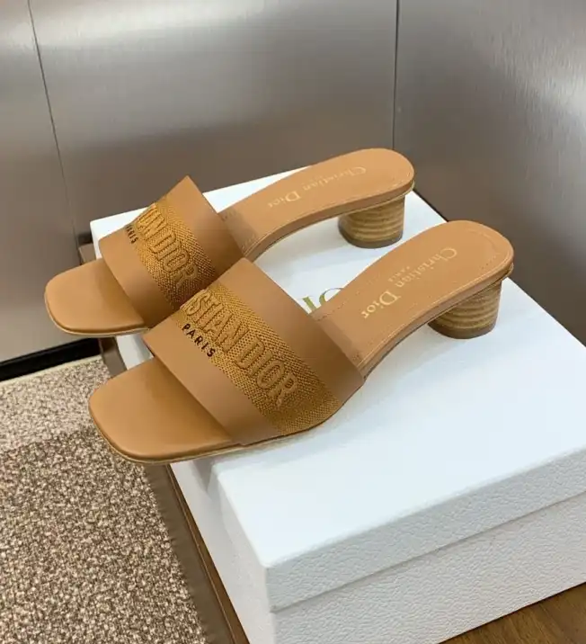 hype Christian Dior Slippers