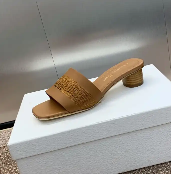 hype Christian Dior Slippers