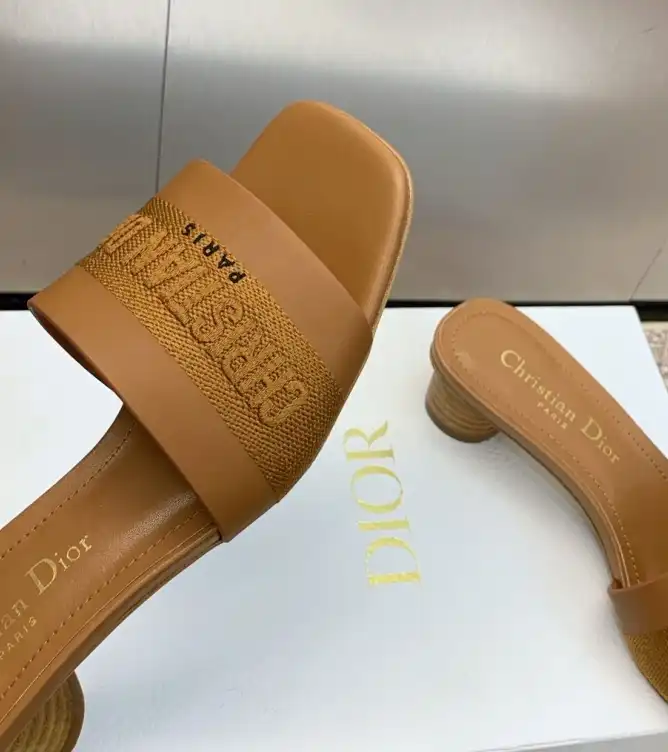 hype Christian Dior Slippers