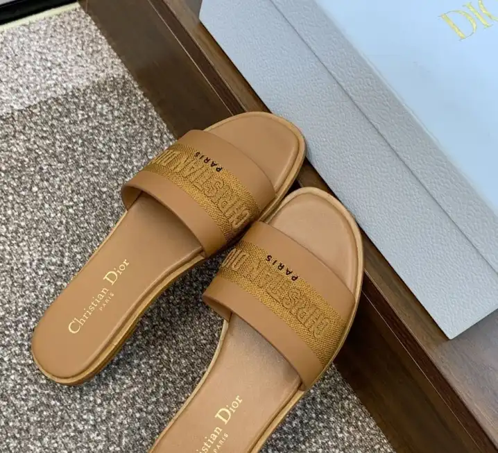 hype Christian Dior Slippers