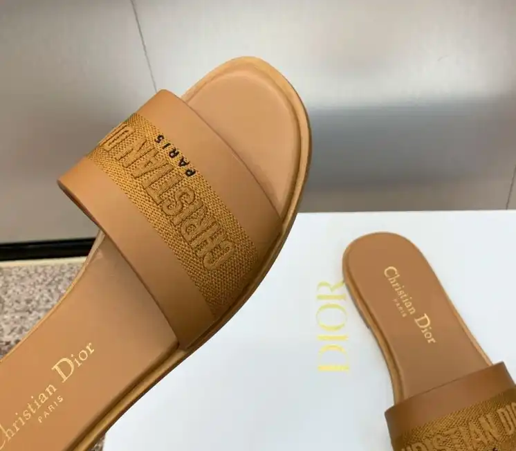 hype Christian Dior Slippers