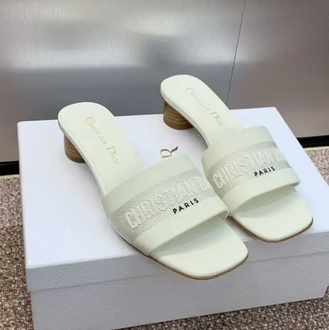 hype Christian Dior Slippers