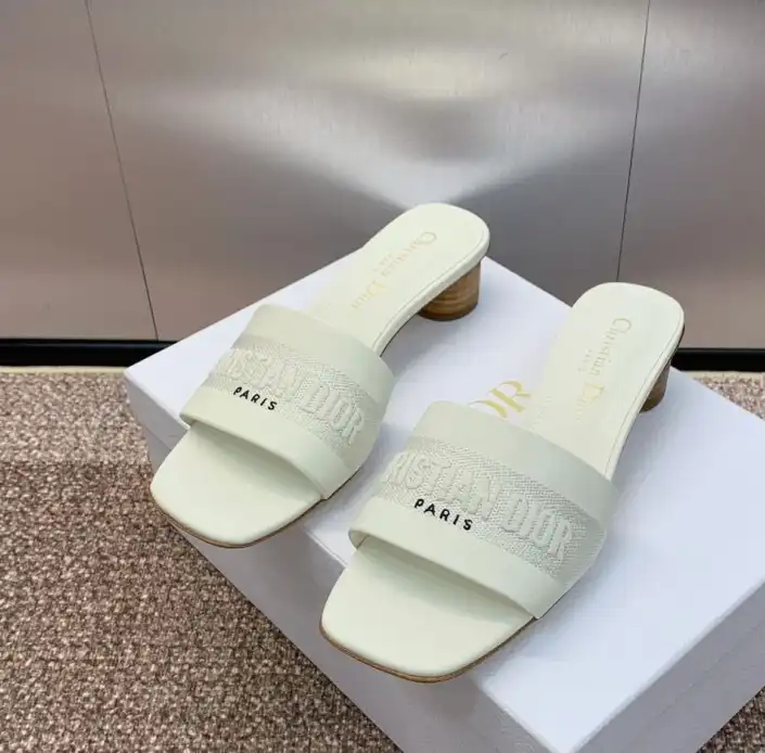 hype Christian Dior Slippers