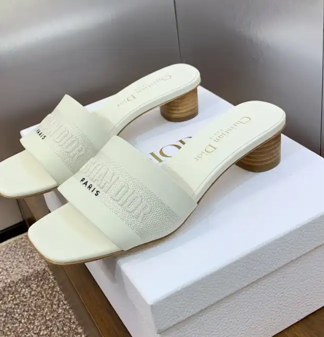 hype Christian Dior Slippers