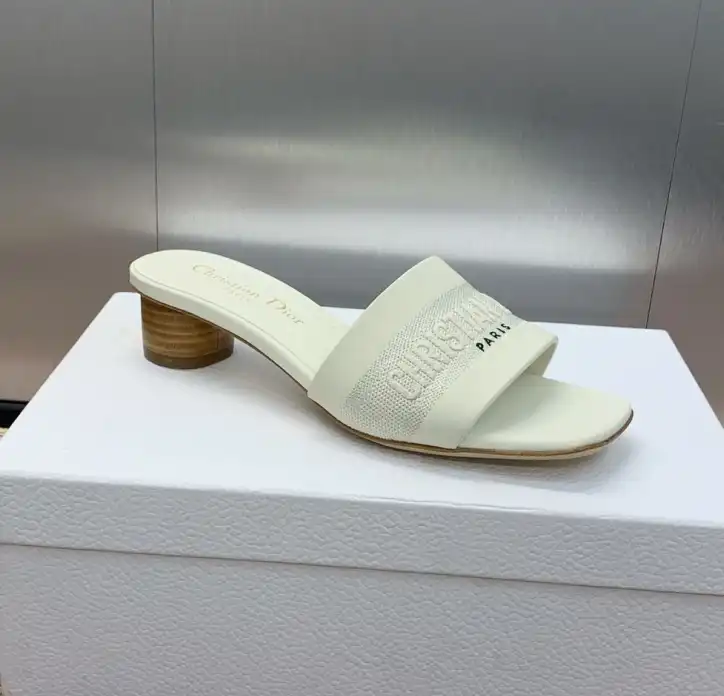 hype Christian Dior Slippers