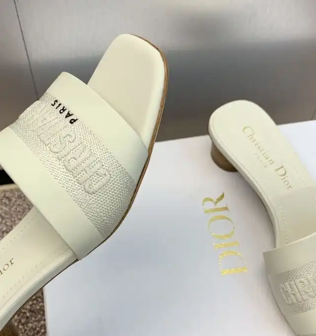 hype Christian Dior Slippers