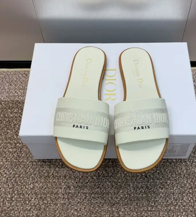 hype Christian Dior Slippers