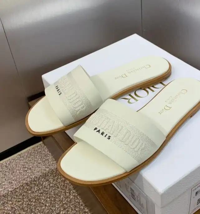 hype Christian Dior Slippers