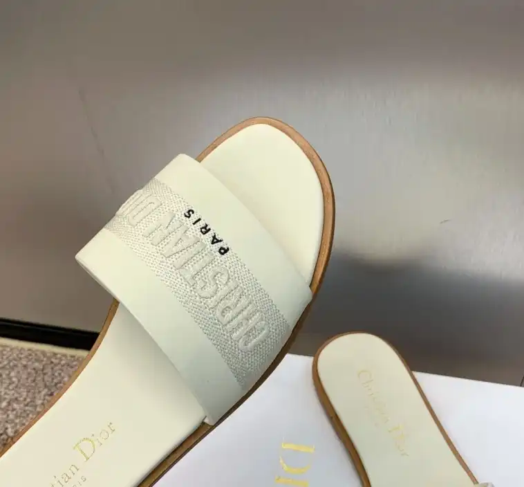 hype Christian Dior Slippers