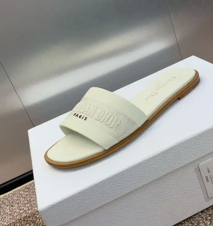 hype Christian Dior Slippers