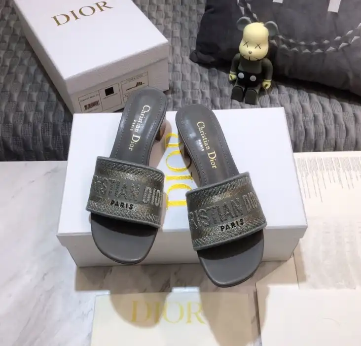 hype Christian Dior Slippers