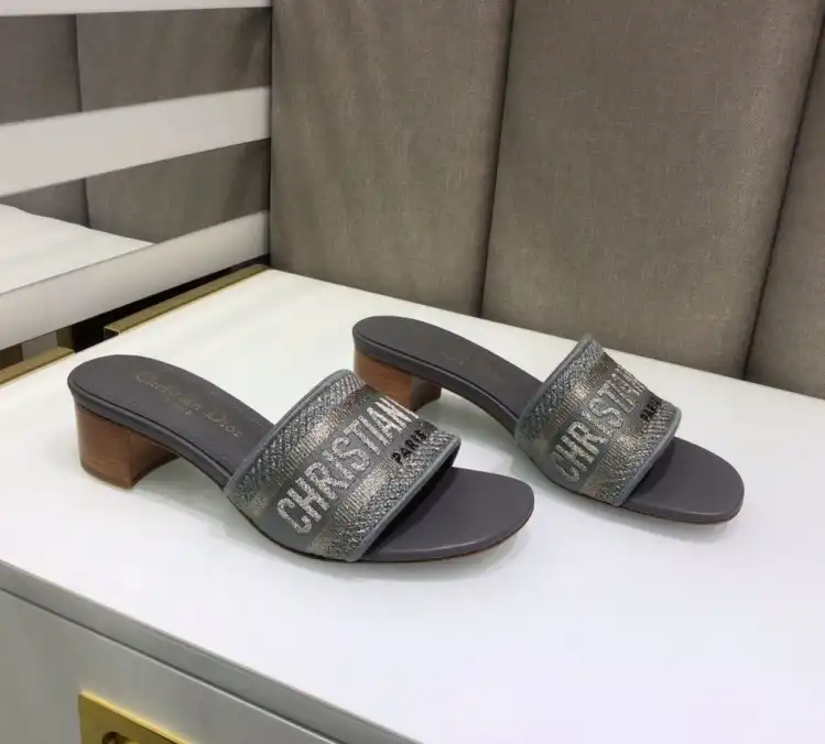 hype Christian Dior Slippers