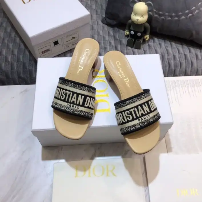 hype Christian Dior Slippers