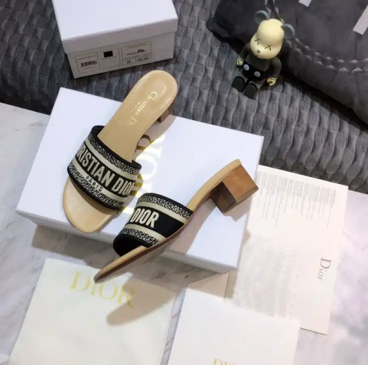 hype Christian Dior Slippers