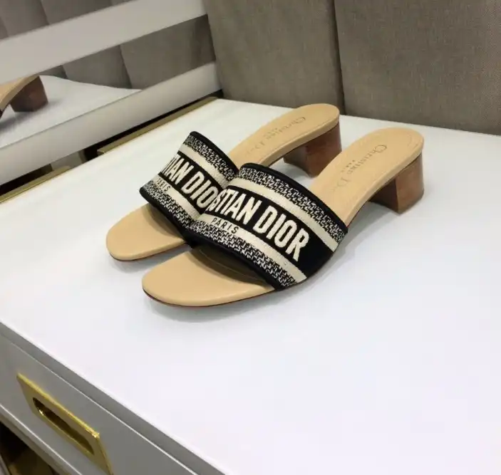 hype Christian Dior Slippers