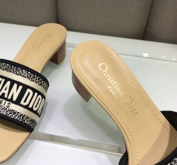 hype Christian Dior Slippers