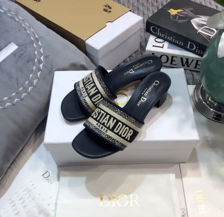 hype Christian Dior Slippers