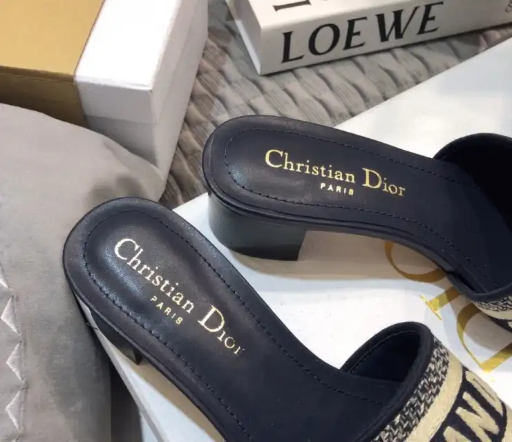 hype Christian Dior Slippers