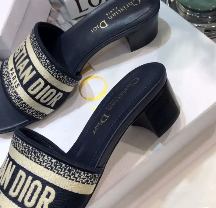 hype Christian Dior Slippers