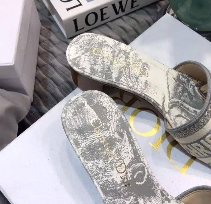 hype Christian Dior Slippers