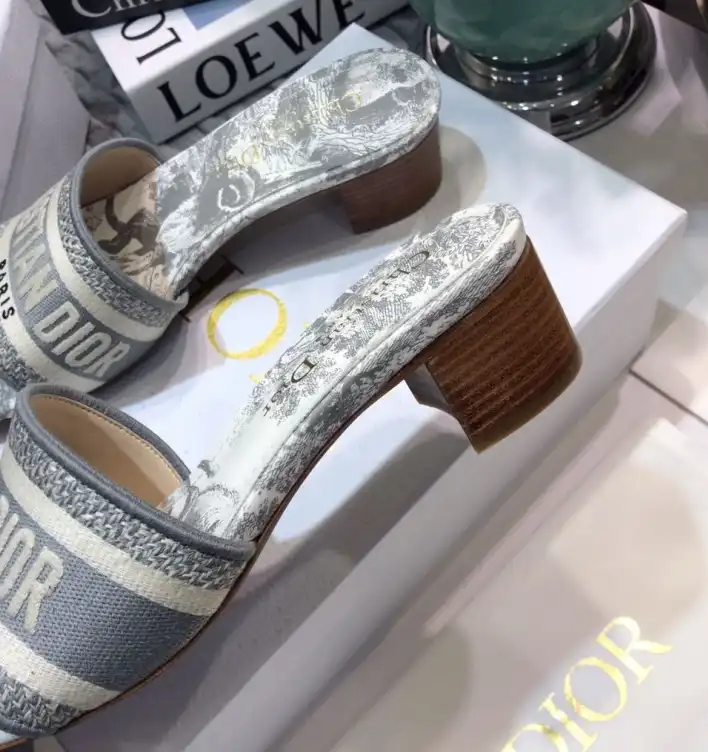 hype Christian Dior Slippers