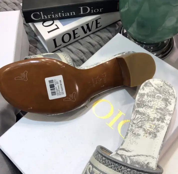 hype Christian Dior Slippers