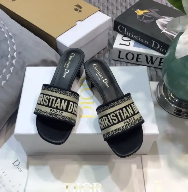 hype Christian Dior Slippers