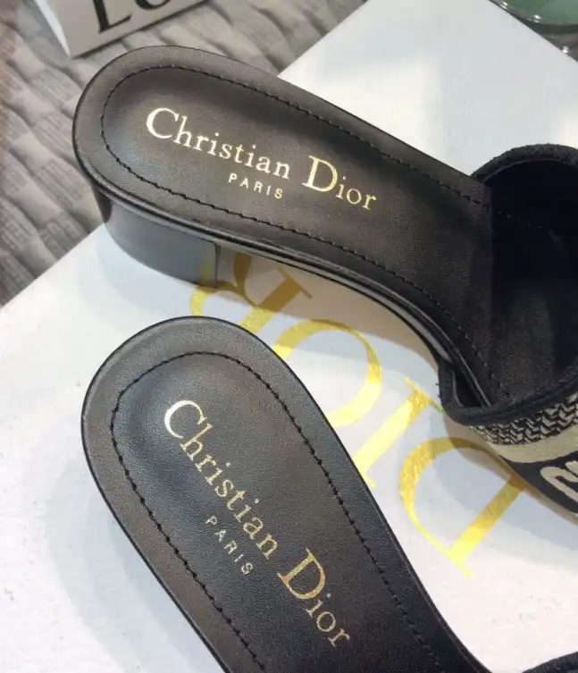 hype Christian Dior Slippers