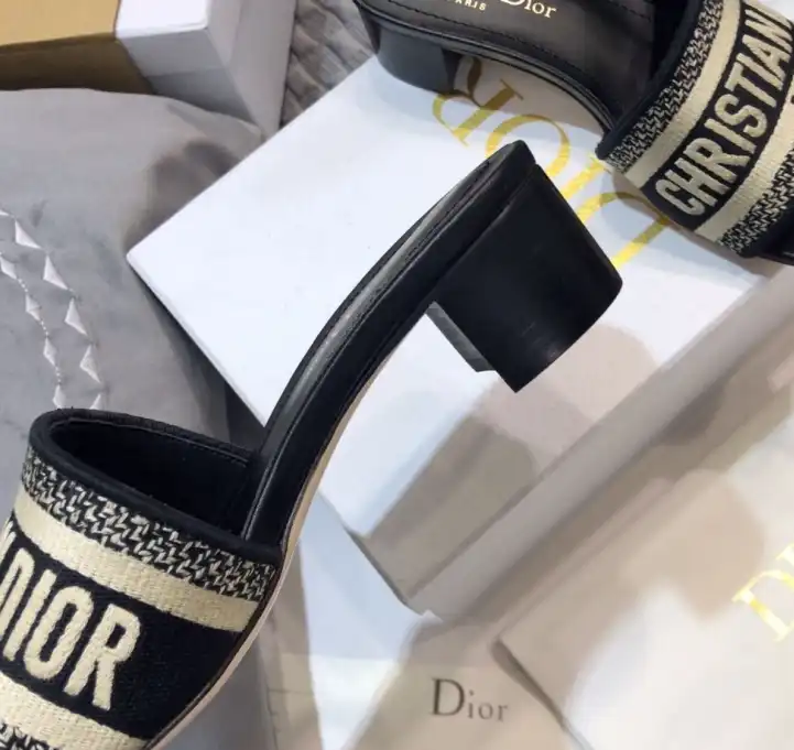 hype Christian Dior Slippers