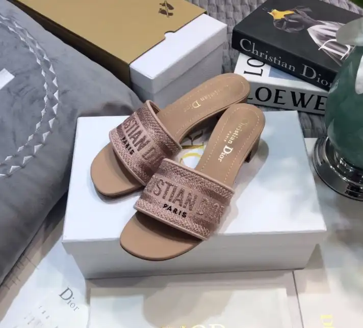 hype Christian Dior Slippers