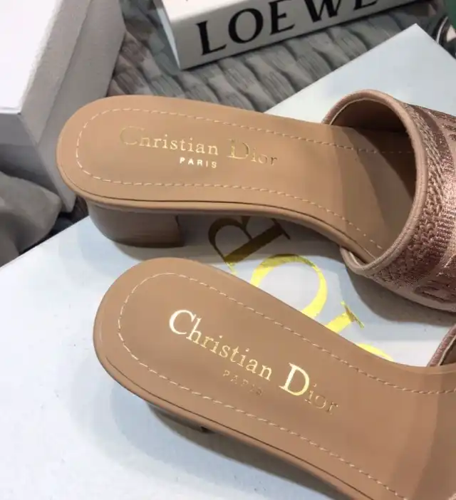 hype Christian Dior Slippers