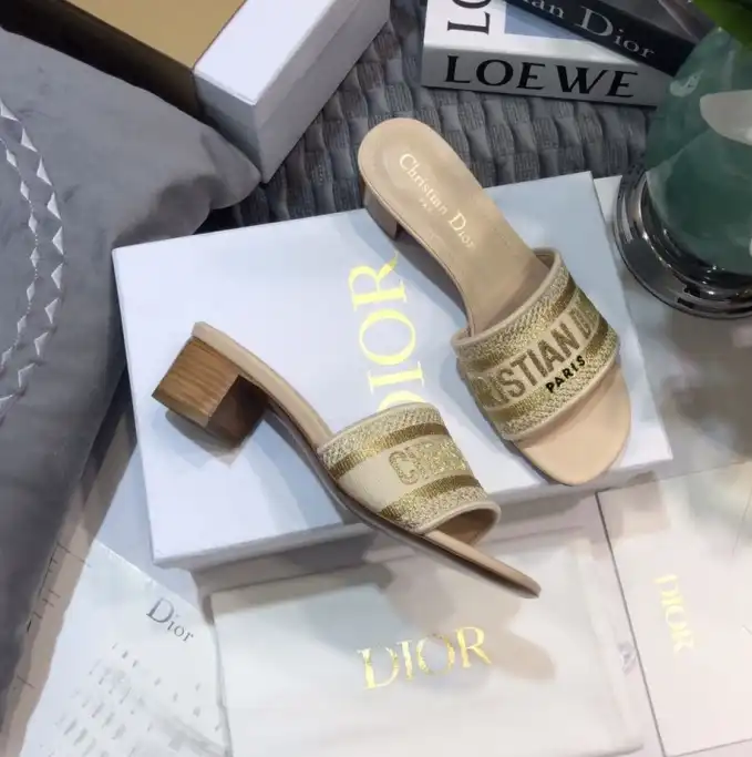 hype Christian Dior Slippers