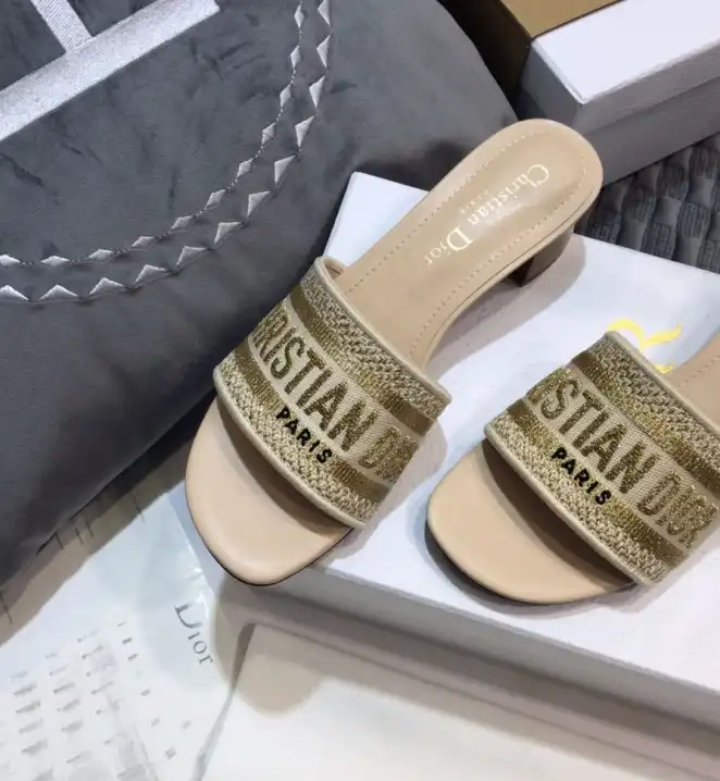 hype Christian Dior Slippers