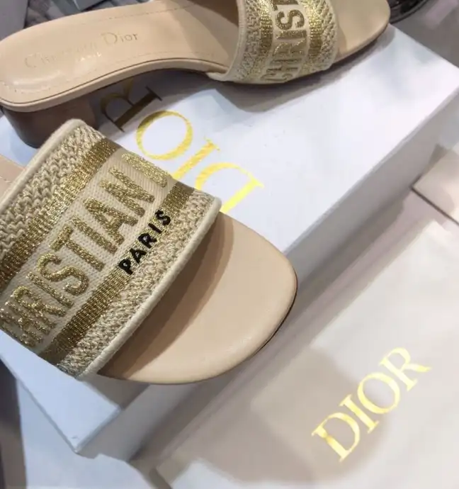 hype Christian Dior Slippers