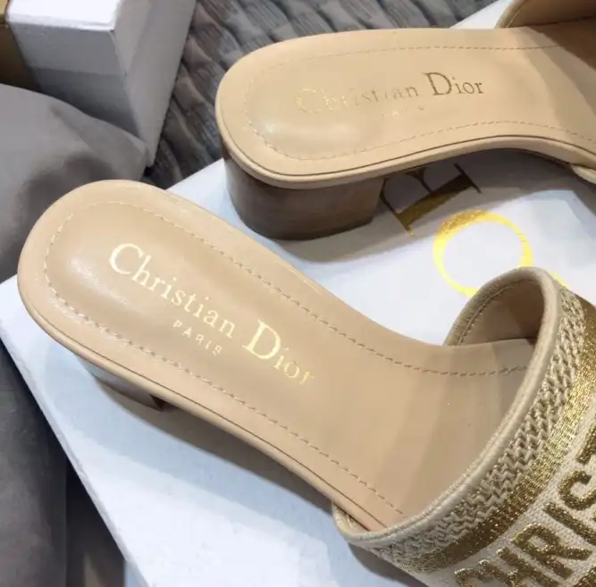 hype Christian Dior Slippers