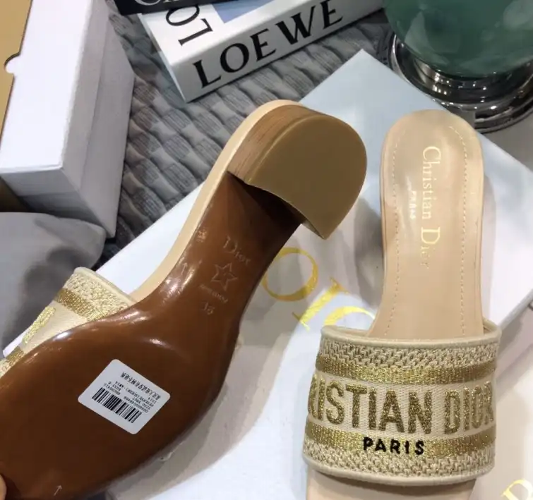 hype Christian Dior Slippers